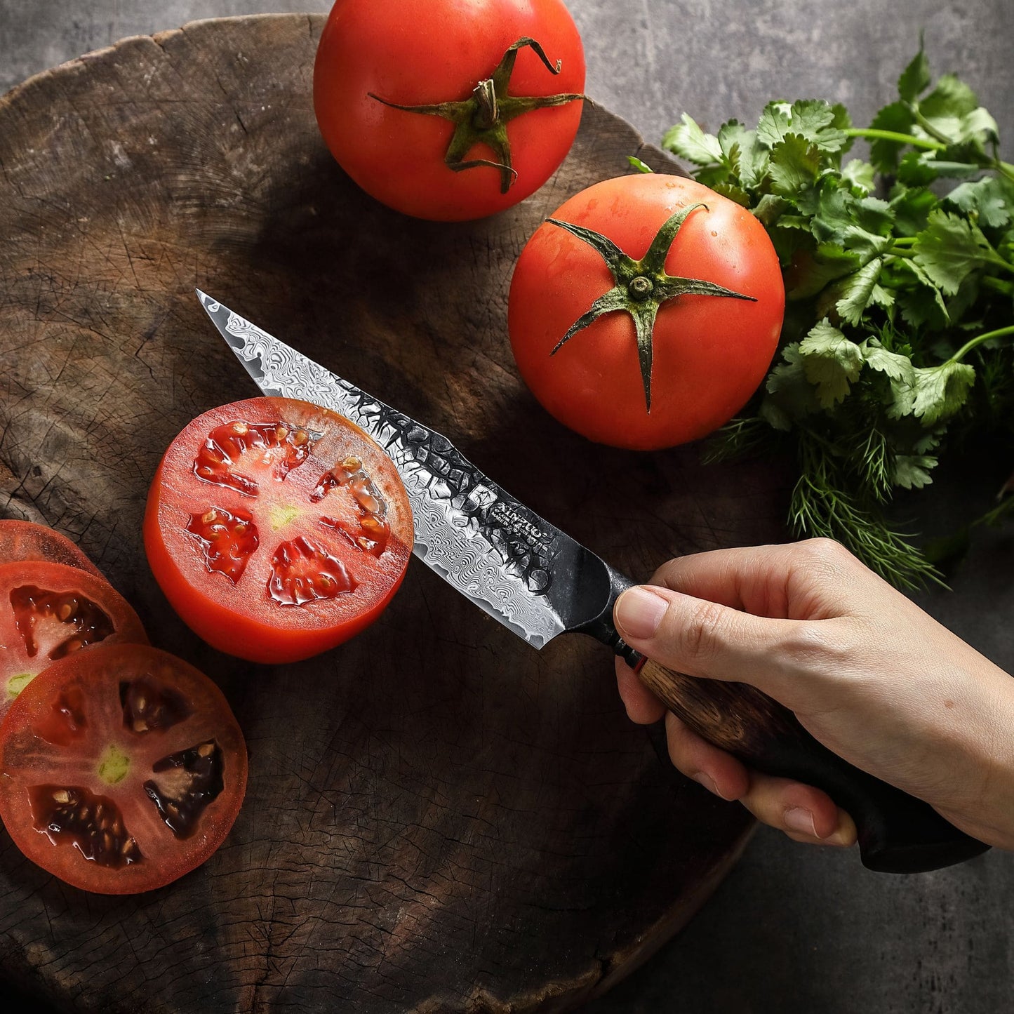 Mo Serie Allzweckmesser